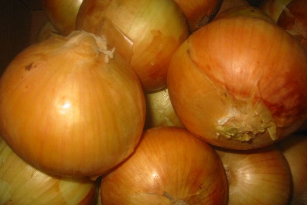Кракен сайт ссылка kr2web in
